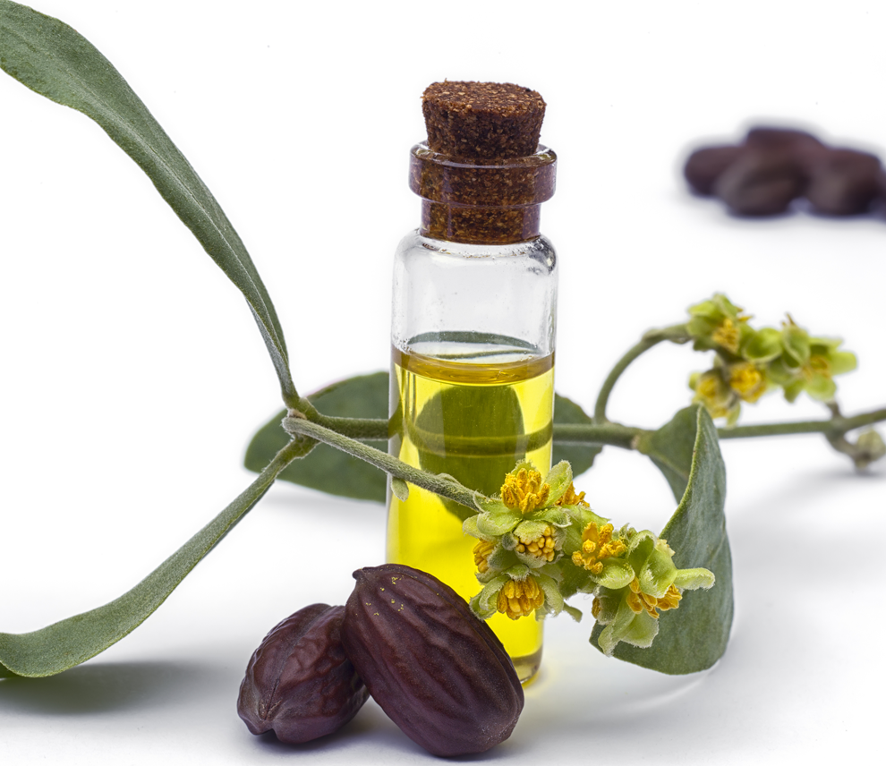 JOJOBA