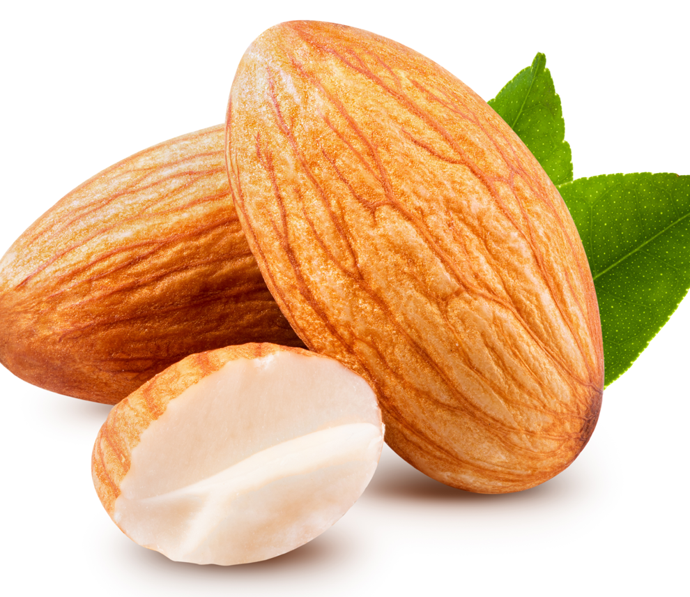 SWEET ALMOND